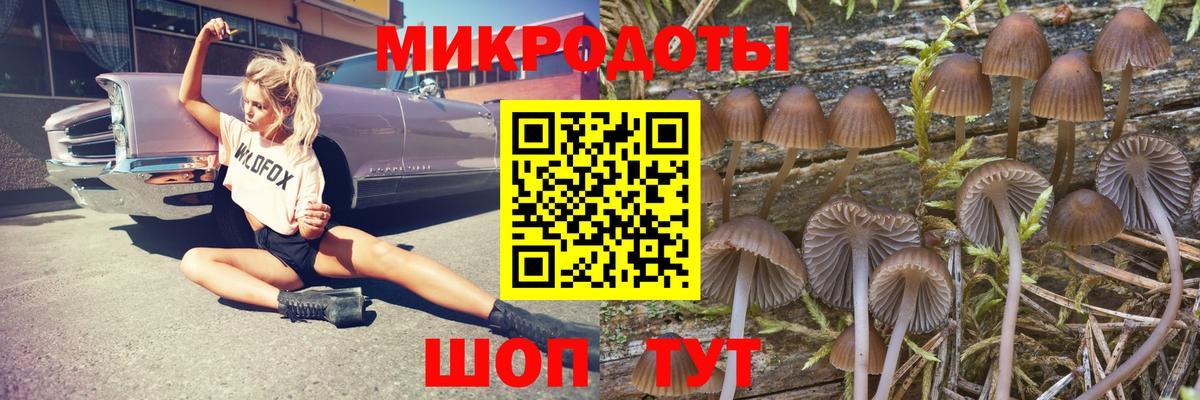 Псилоцибиновые грибы мицелий  Вход с VPN  Тихорецк 